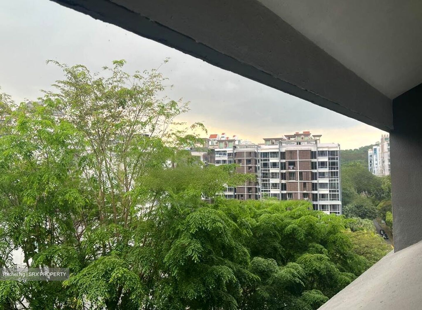 Lam Soon Industrial Building (D23), Factory #479286101